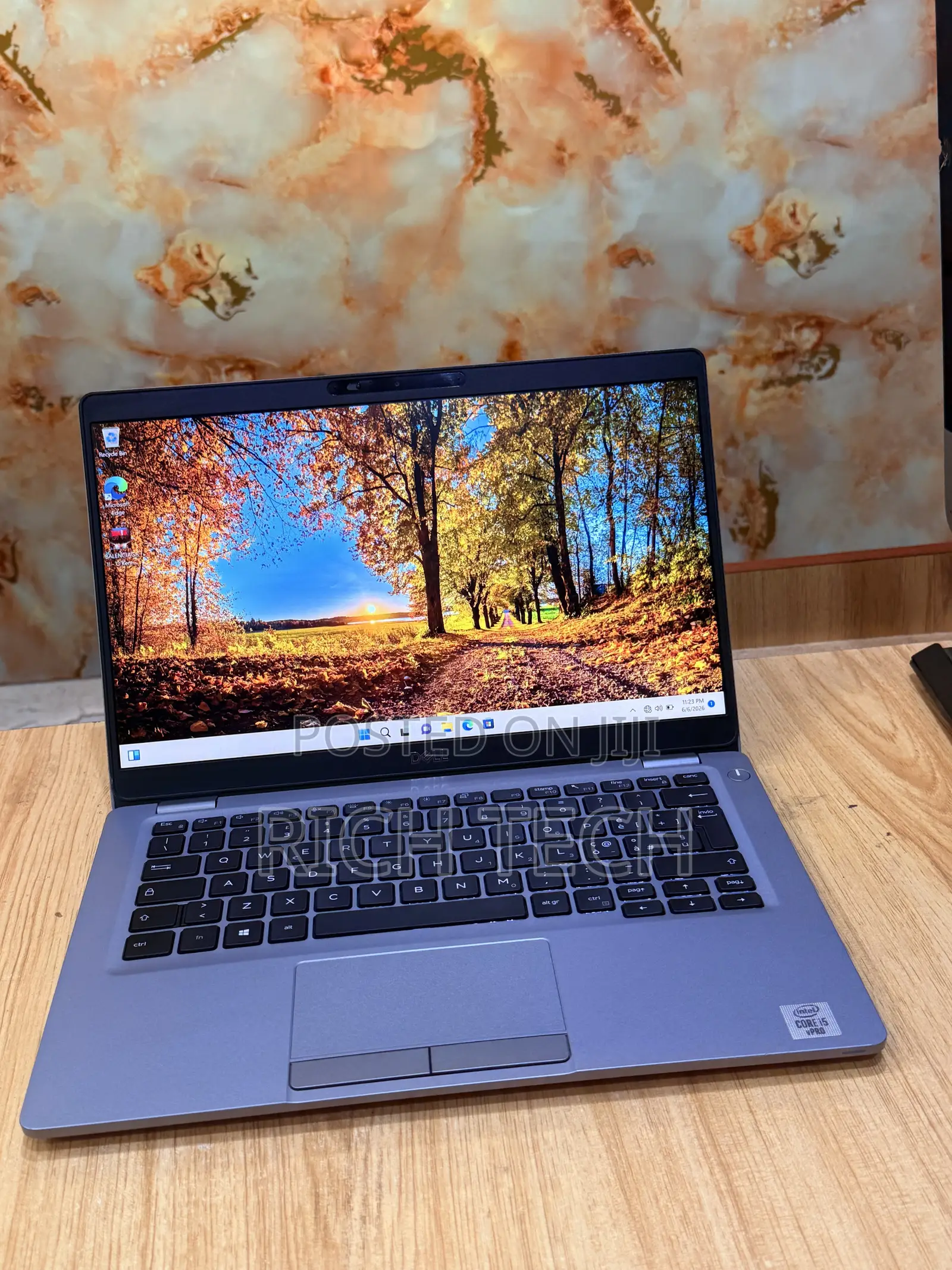 Laptop Dell Latitude 5310 8GB Intel Core i5 SSD 256GB