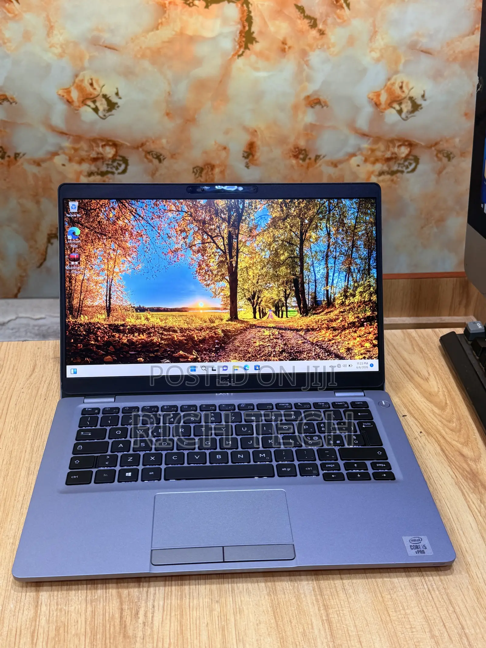 Laptop Dell Latitude 5310 8GB Intel Core i5 SSD 256GB