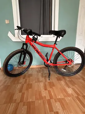 Genesis Bicycle