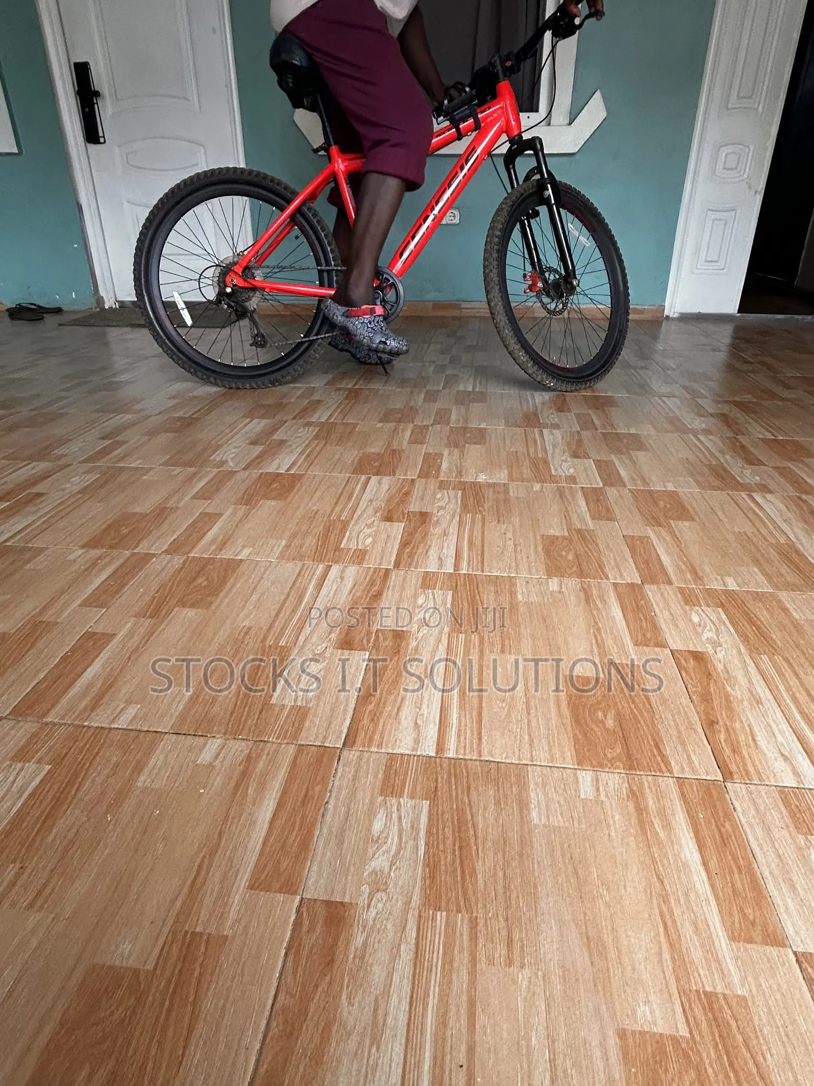 Genesis Bicycle