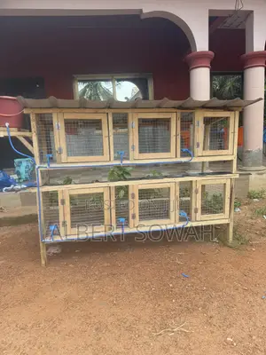 6 Rooms Modern Rabbit Ang Grasscutter Cage