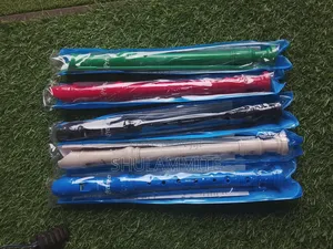 Recorder( Flute)