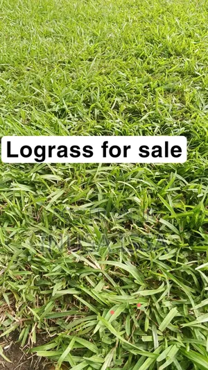 Hultocure, Gardiner Services and Equipment , Selling of Burmuda Grass