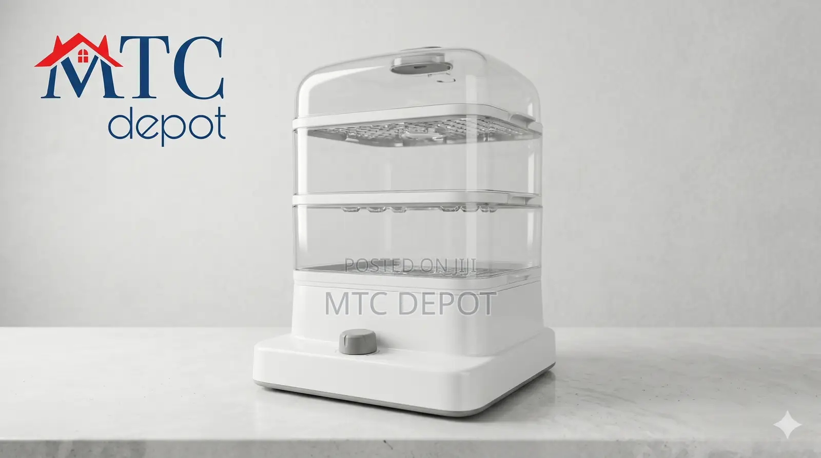 Electric Steamer