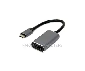 Type C Male to Dp Female Converter