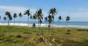 Beach Land