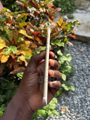 Apple iPhone 6 Plus 64 GB Silver