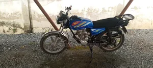 Royal RY125 2010 Blue