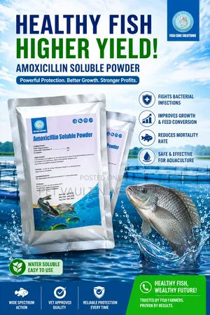 Amoxcillin Soluble Powder