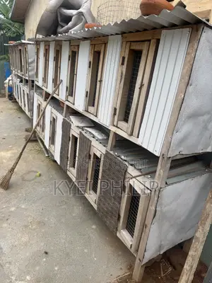 Grasscutter/ Rabbit Cage