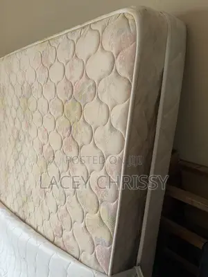 Orthopedic Queen Size Spring Mattress