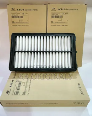 Sorento/Santa Fe/Tucson/Sonata//Sportage/Palisade 21-26 Air Filter