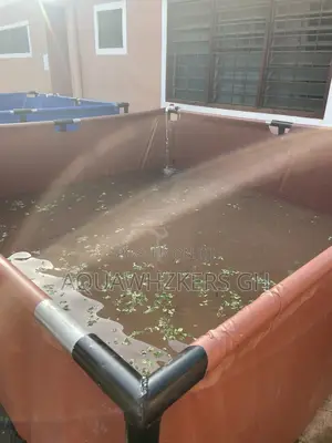 Begin Your Fish Farm