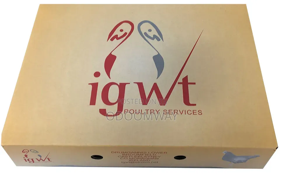 Ig Full Chicken Box
