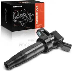 Hyundai Santa Fe 2013-14 Ignition Coil. Original