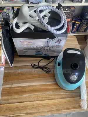 Professional Garment Steamer 2000w for Home/Business Use