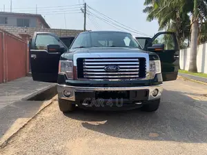Ford F-150 XLT 2013 Green