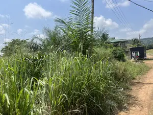 Land at Amasaman Dobro Near Blue Skies