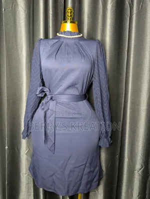 Beautiful Decent Ladies Dress