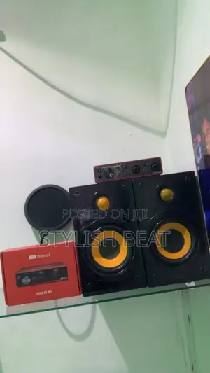 Sony Studio Passive Monitors With Amplifier
