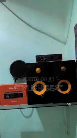 Sony Studio Passive Monitors With Amplifier