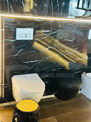 Concealed Water Closet _ Hanging Wc