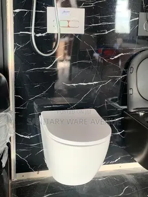 Concealed Water Closet _ Hanging Wc
