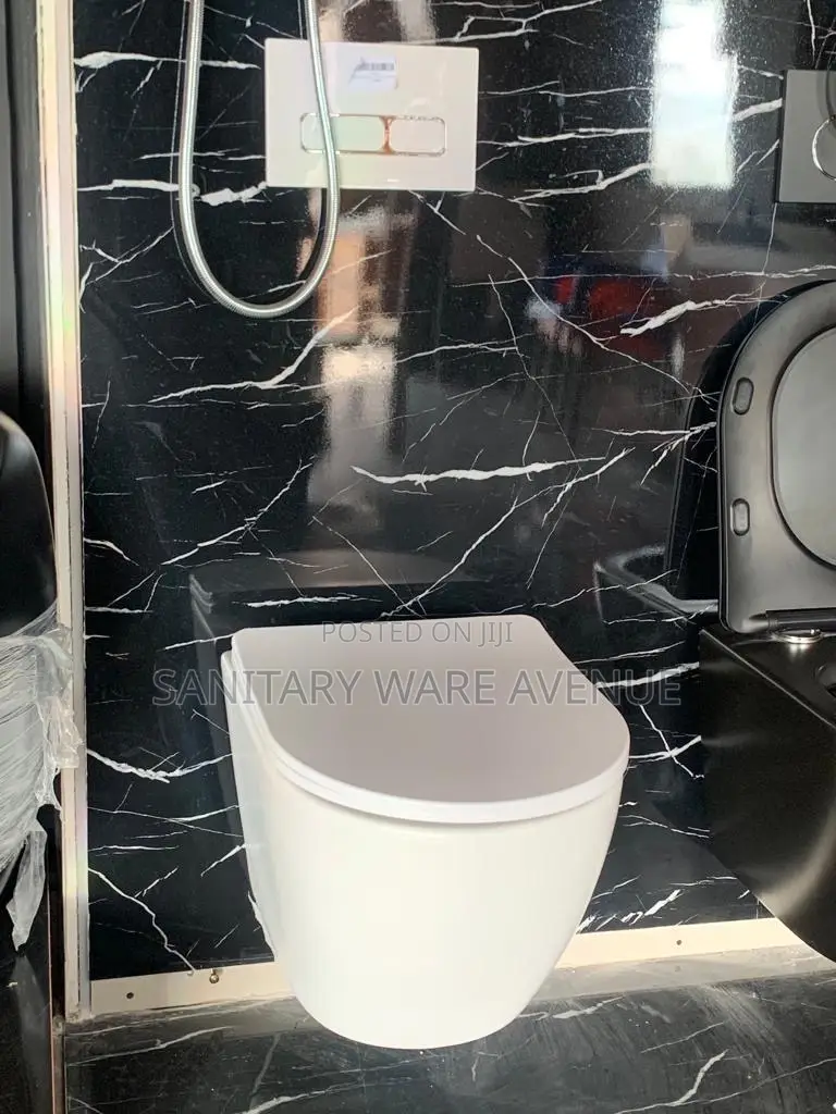 Concealed Water Closet _ Hanging Wc
