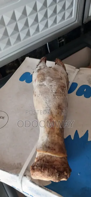 Cow Leg (Kotodwe)