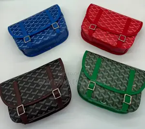 Goyard Goyardine Belvedere Bags