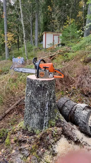 Stihl Chainsaw Ms 250_ (16 - 18" Bar ) Original