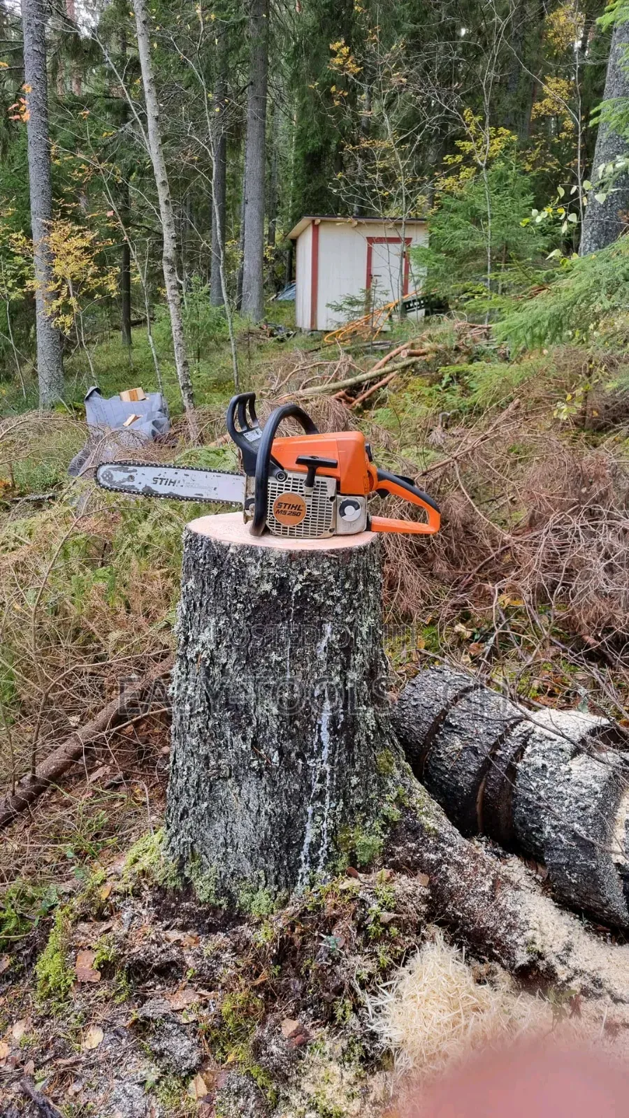 Stihl Chainsaw Ms 250_ (16 - 18" Bar ) Original