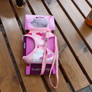 Cat Harness and Lead