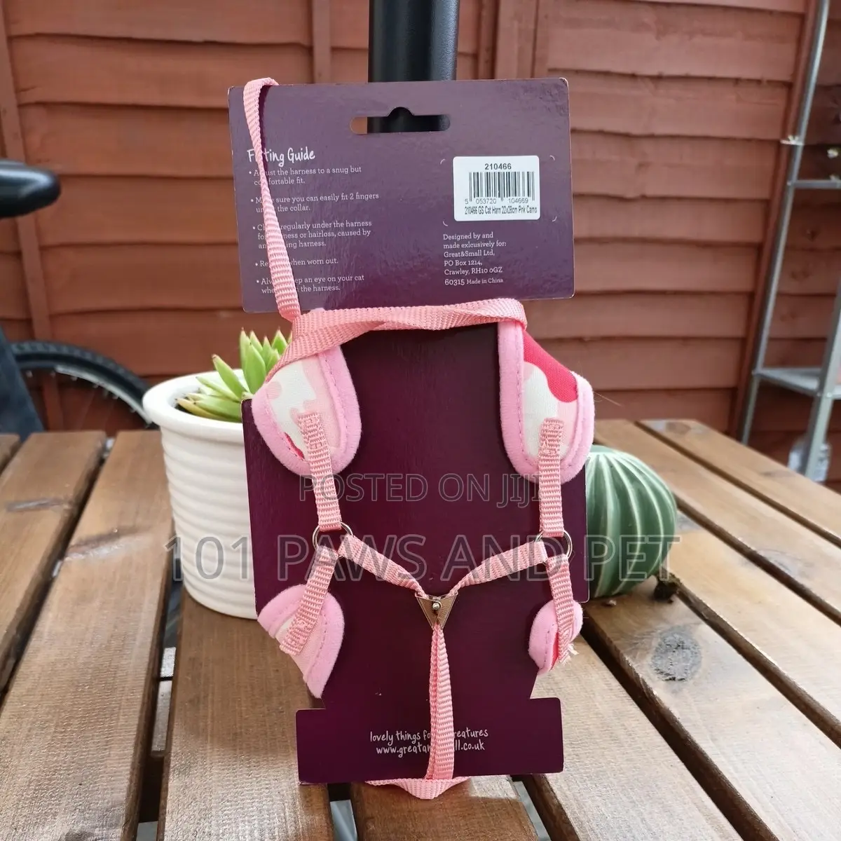 Cat Harness and Lead
