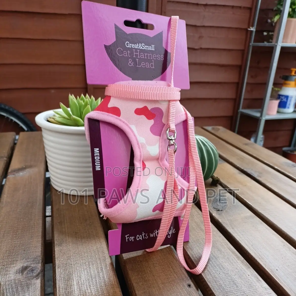Cat Harness and Lead