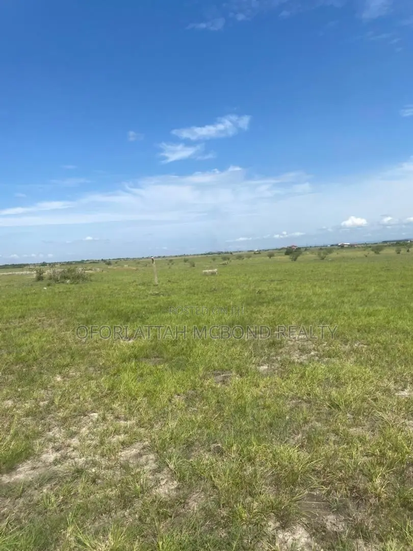 Peaceful Land to Buy at Prampram Genuine Estate Plots for Sale ! ||
