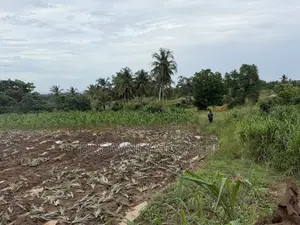2 Plots at Hunese