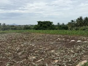 2 Plots at Hunese