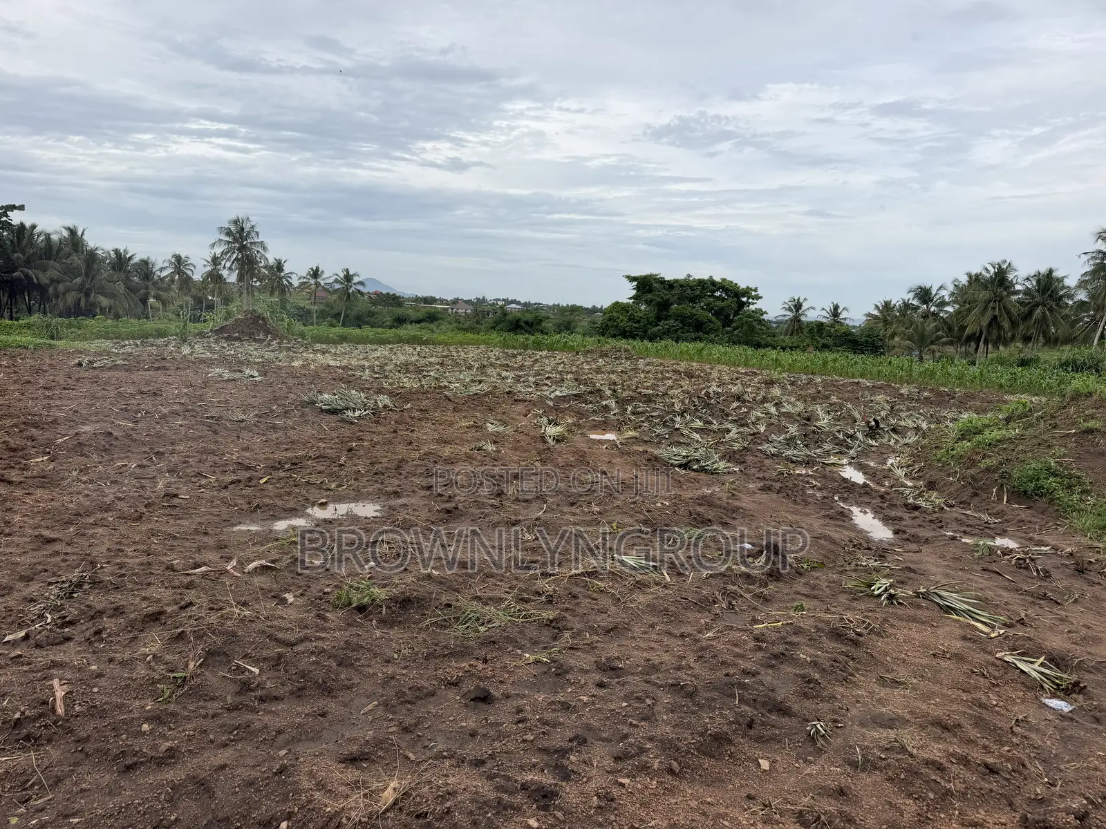 2 Plots at Hunese