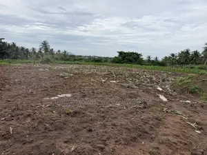 2 Plots at Hunese