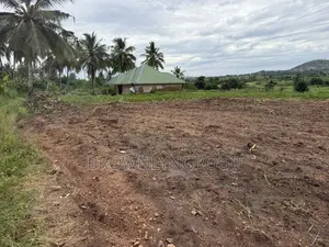 2 Plots at Hunese
