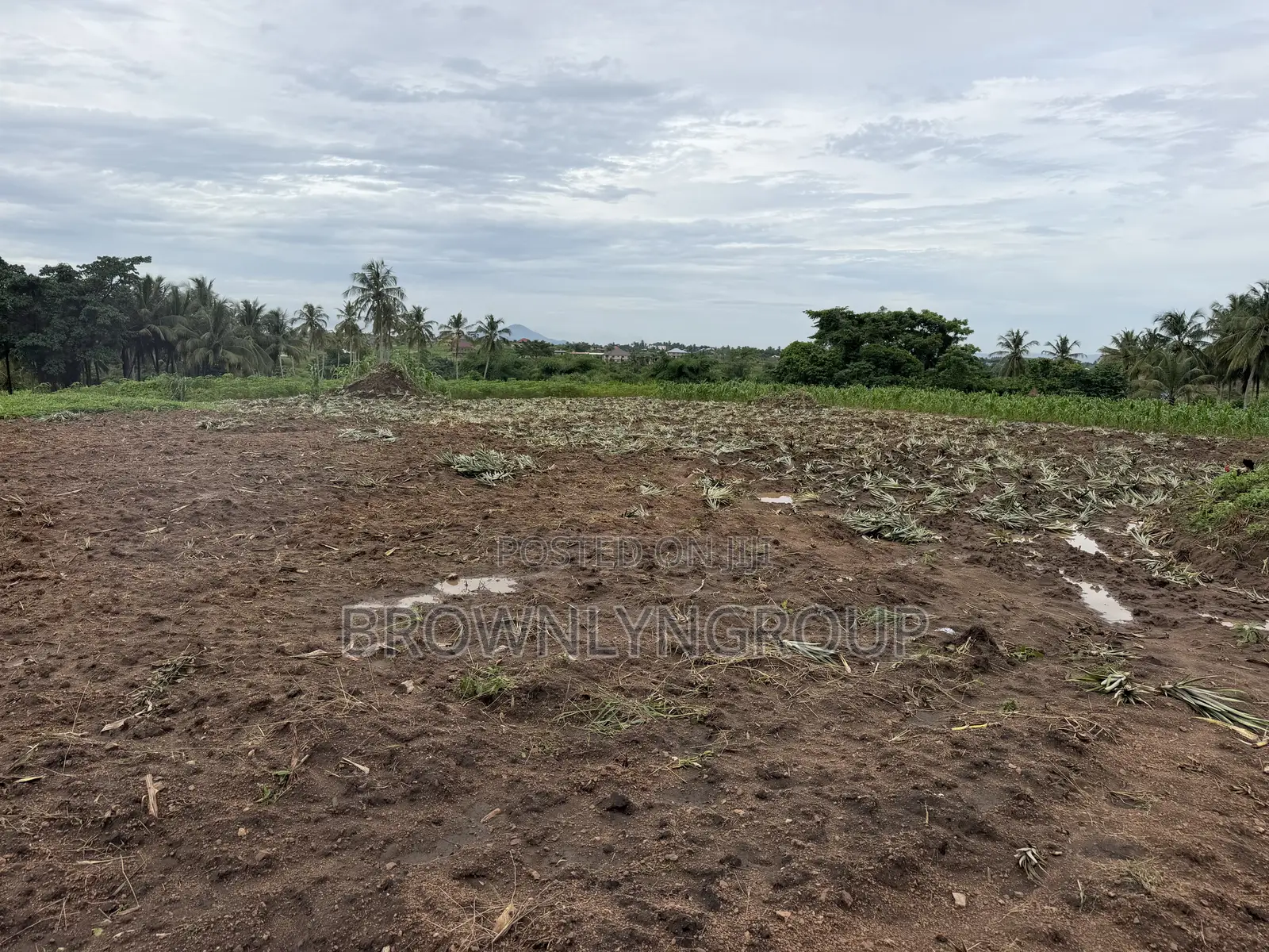 2 Plots at Hunese