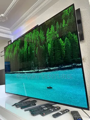 Lg Oled 55bx