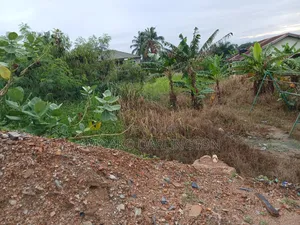 Land for Sale Road Side