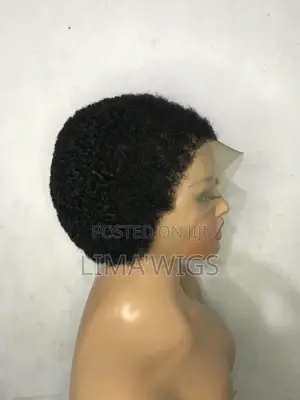Low Cut Afro Wig