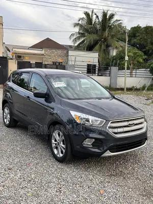Ford Escape SE 4x4 2019 Gray