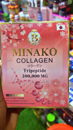 Minako Collegen