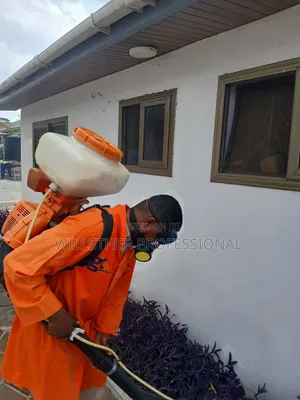 Upto 20% Discount of Fumigation