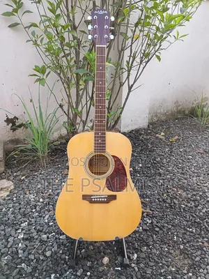 Carlo Robelli Crw410n Est 1932.New York Acoustic Guitar