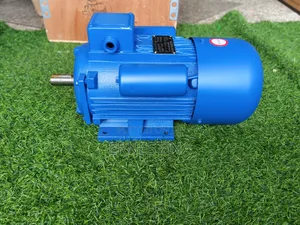 Electric Fufu Pounding Motor